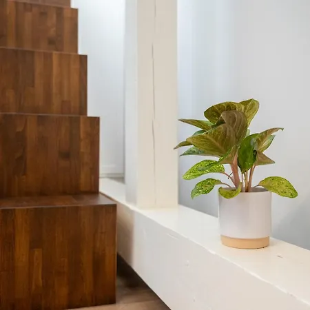 Karlin Boutique Loft By Livingclub *
