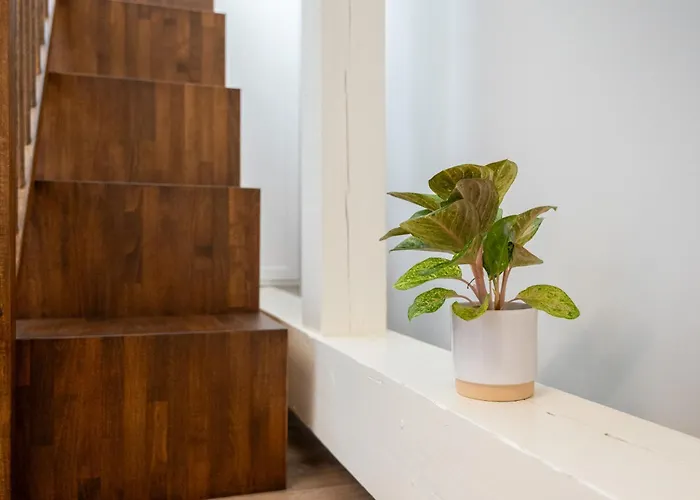 Karlin Boutique Loft By Livingclub *