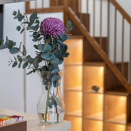 Karlin Boutique Loft By Livingclub * פראג